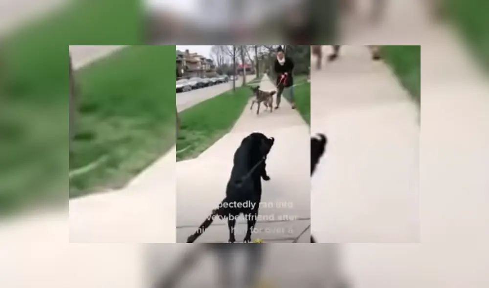 Desliza hacia la izquierda para ver más del video viral.