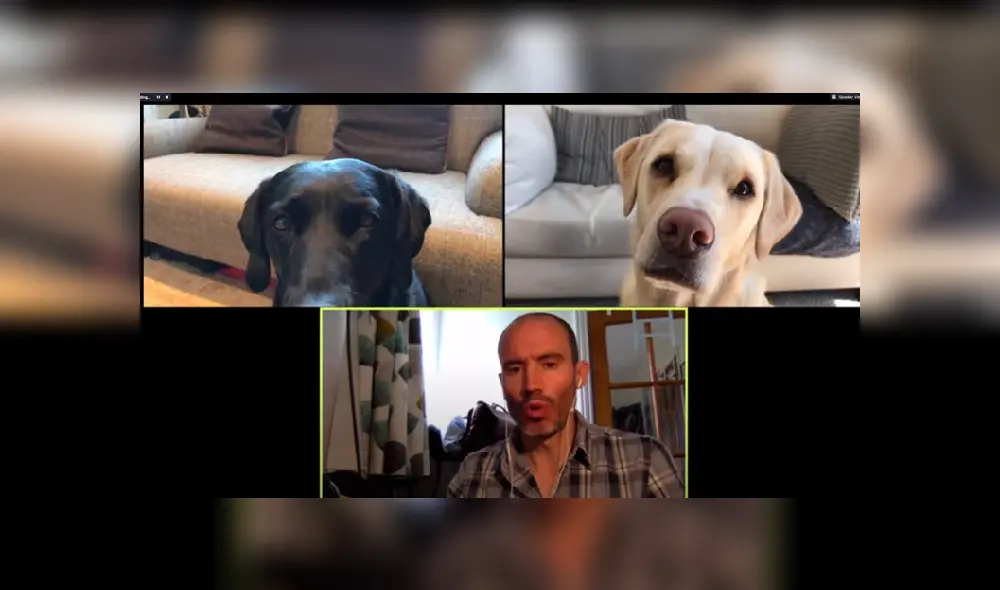 Desliza las imágenes para ver más sobre esta divertida 'conversación' que es viral en YouTube.