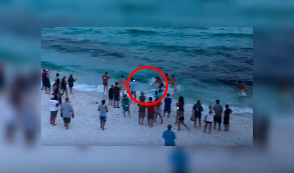 YouTube viral: tiburón martillo fue ayudado por bañistas que lo regresaron al mar [VIDEO]