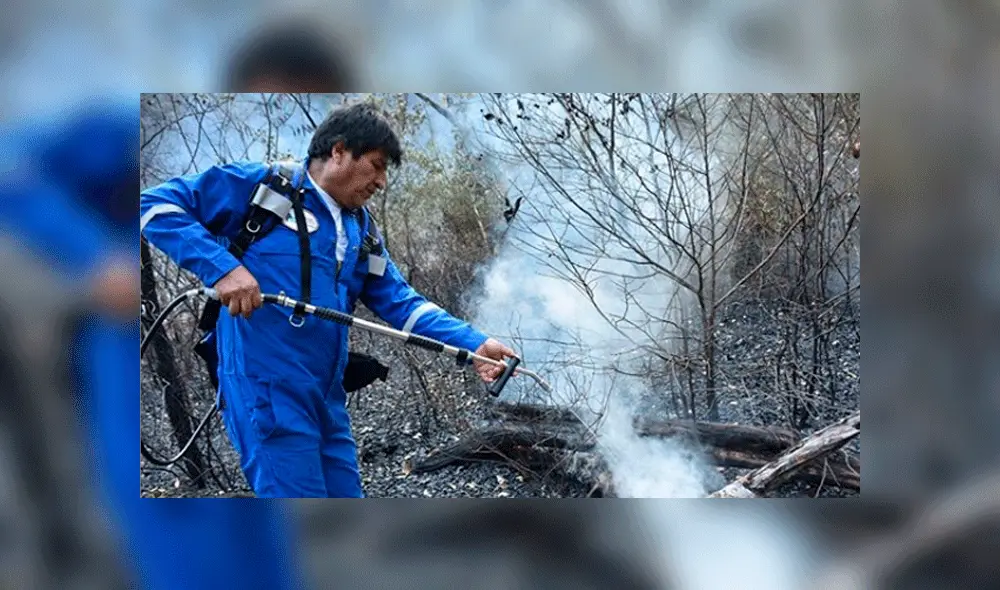 Evo Morales en los trabajos de extinción. Foto: Captura/@evomoralesayma Evo Morales en los trabajos de extinción. Foto: Captura/@evomoralesayma