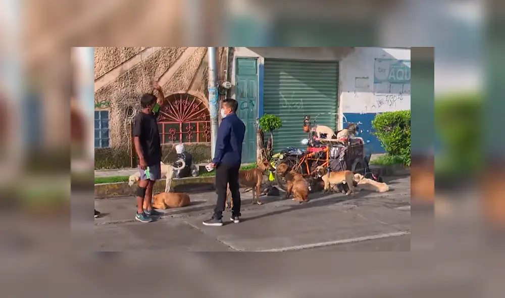 Desliza las imágenes para conocer la emotiva historia de un hombre al ayudar a indefensos animales. Fotocaptura: Puebla Noticias.