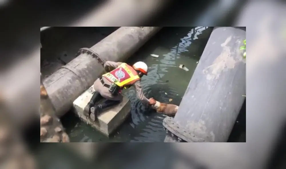 Desliza hacia la izquierda para ver más del video viral