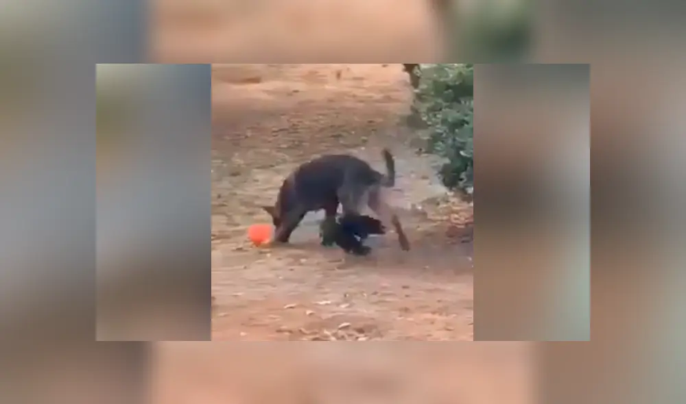 Desliza para ver los momentos más emotivos del video que se hizo viral en YouTube. Desliza para ver los momentos más emotivos del video que se hizo viral en YouTube.