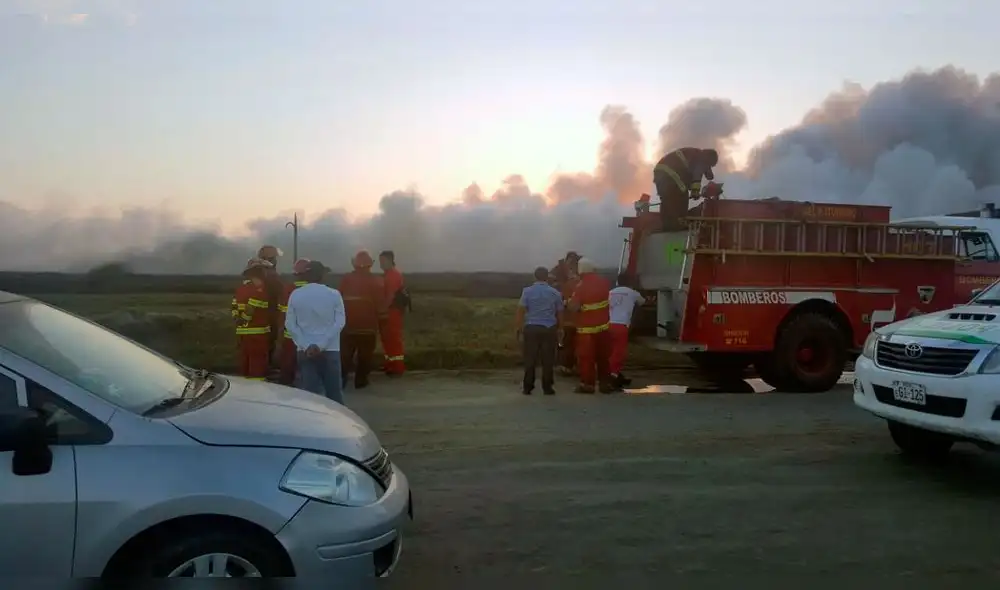 Chimbote: Incendio provocado arrasó con 60 hectáreas de totora