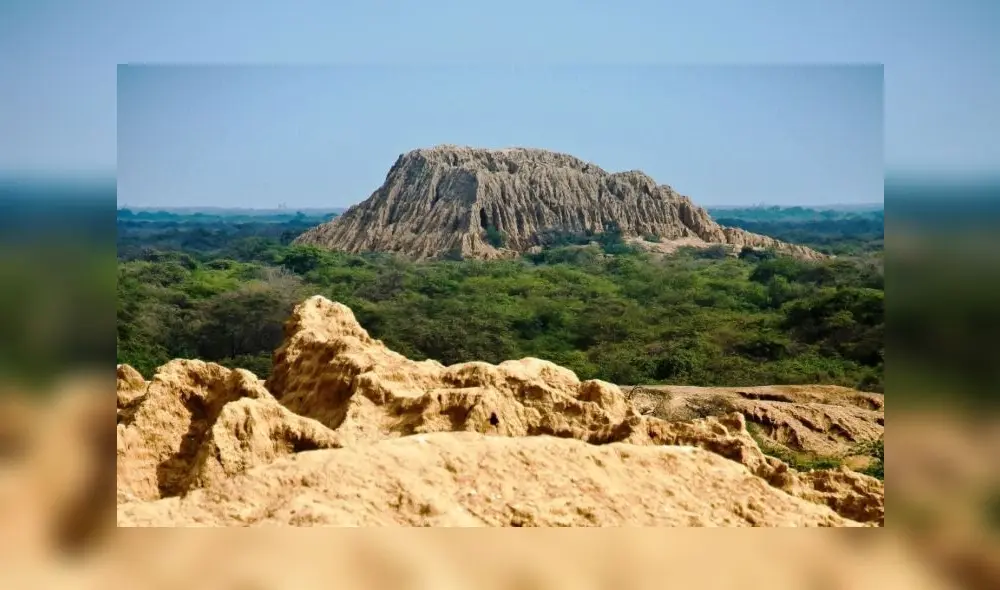 Pómac Fest celebra la biodiversidad, el turismo y la cultura [VIDEO]