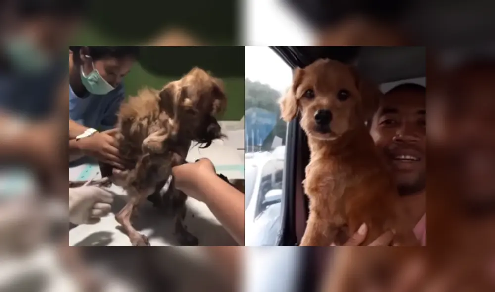 Desliza para ver más detalles sobre esta conmovedora historia que es viral en YouTube.