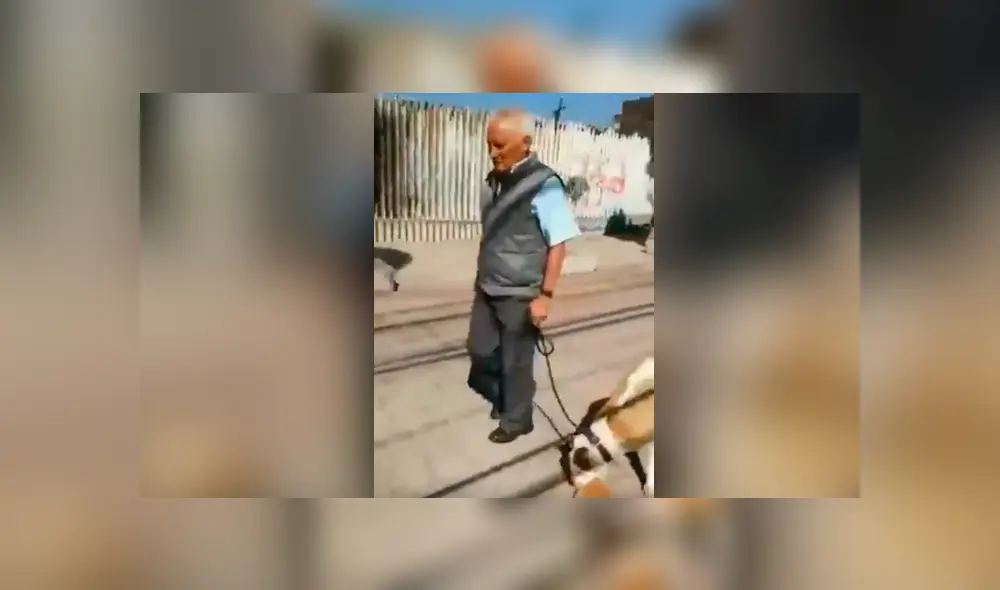 Hombre permite que su perro mate a un gato y lleve el cadáver en el hocico [VIDEO]