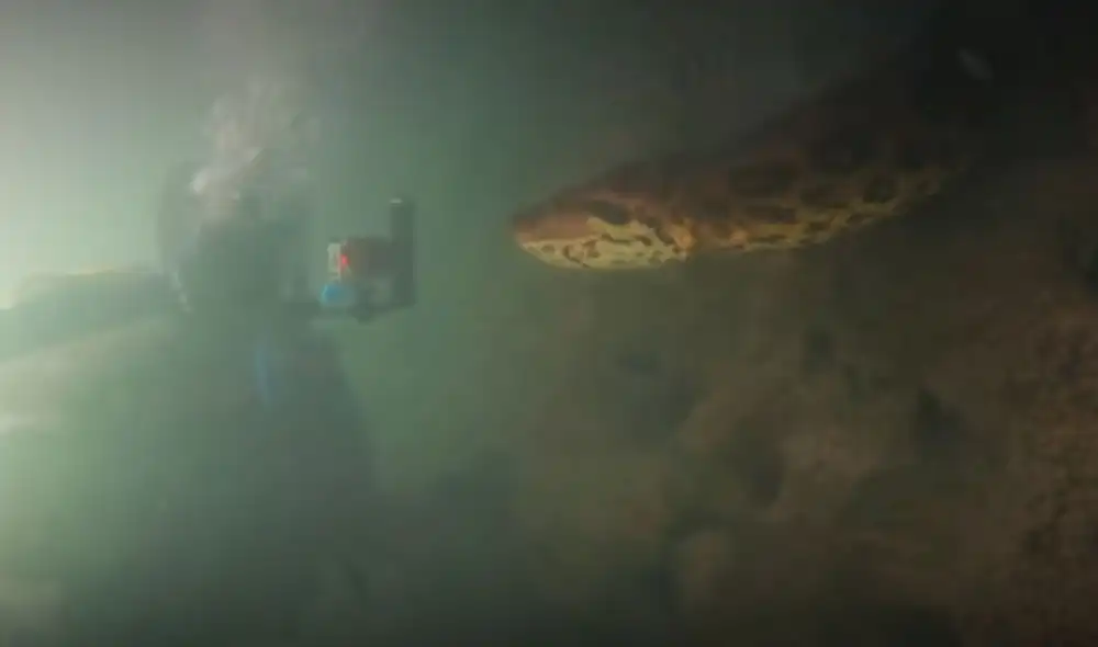 El hombre sorprendió al mostrar las imágenes que captó en las aguas del Río Amazonas. Foto: El Dodo / Facebook El hombre sorprendió al mostrar las imágenes que captó en las aguas del Río Amazonas. Foto: El Dodo / Facebook