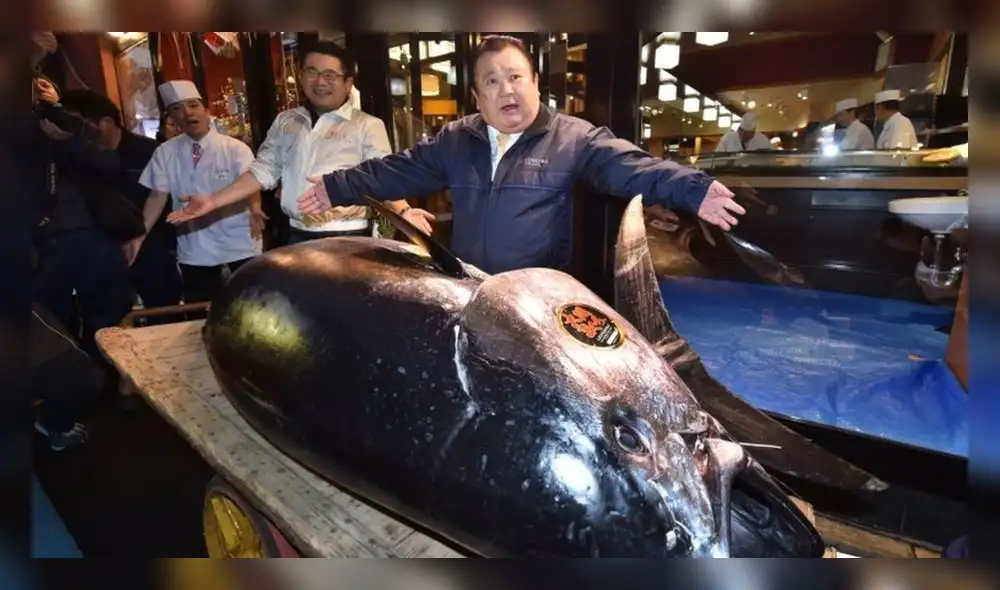 Hombre en Japón paga más de 3 millones de dólares por un atún gigante