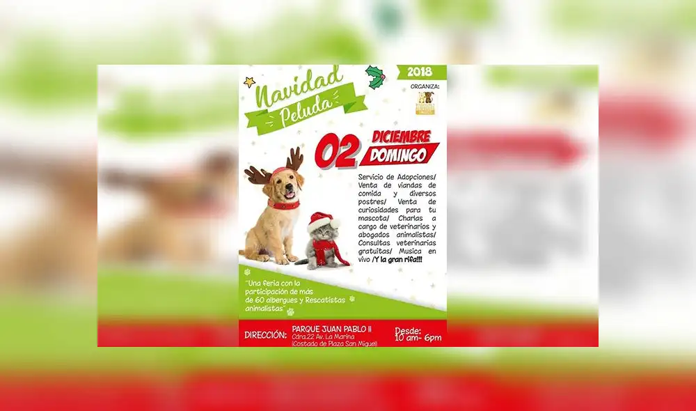 Realizarán actividad para recaudar fondos y ayudar a mascotas rescatadas
