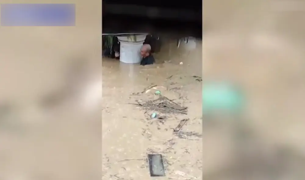 Desliza las imágenes para ver las sorprendentes escenas del hombre rescatando al perro. Foto: captura de YouTube