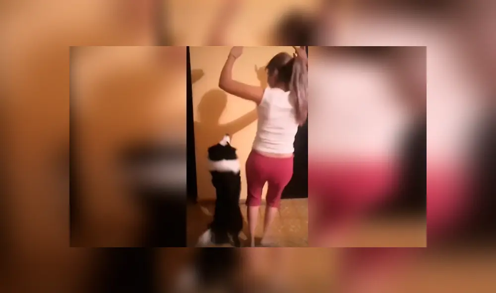 Desliza las imágenes para apreciar los divertidos pasos que realizó un perro con su dueña para cumplir un reto.