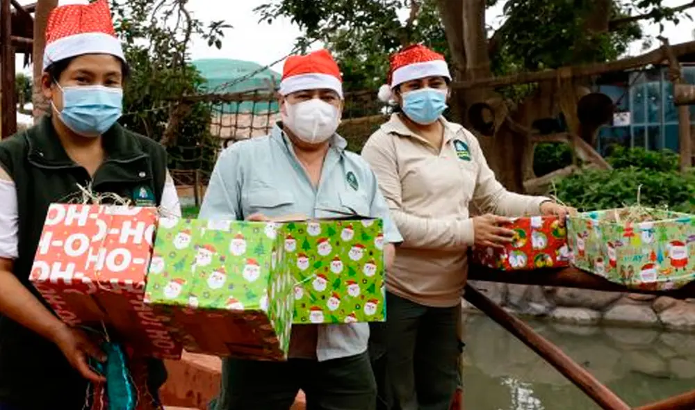 Animales podrán disfrutar de sus comidas favoritas. Foto: Andina Animales podrán disfrutar de sus comidas favoritas. Foto: Andina