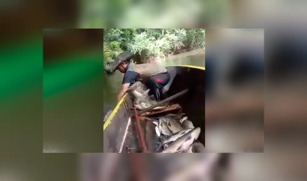 Hombre ingresa a misterioso lago para pescar. Foto: Captura.