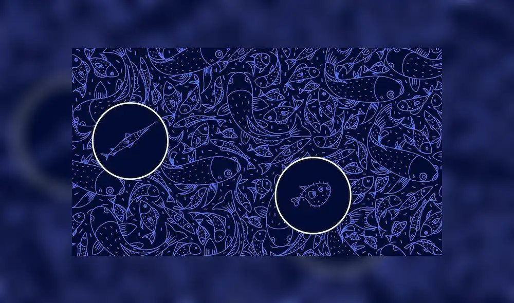 Desliza la imagen de Facebook para ver todas las fotos. Desliza la imagen de Facebook para ver todas las fotos.