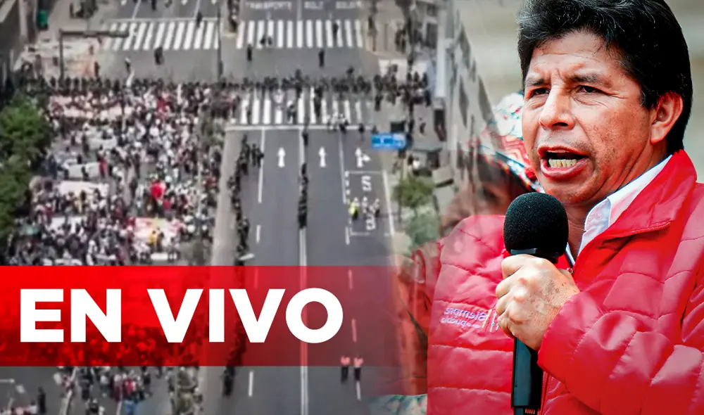 Diversos grupos de manifestantes se hicieron presentes en el Centro de Lima. Foto: Composición La República/Captura/Andina