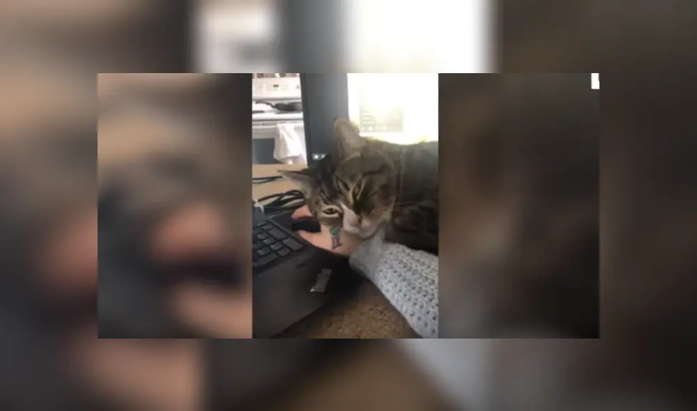 Desliza hacia la izquierda para ver más del video viral Desliza hacia la izquierda para ver más del video viral