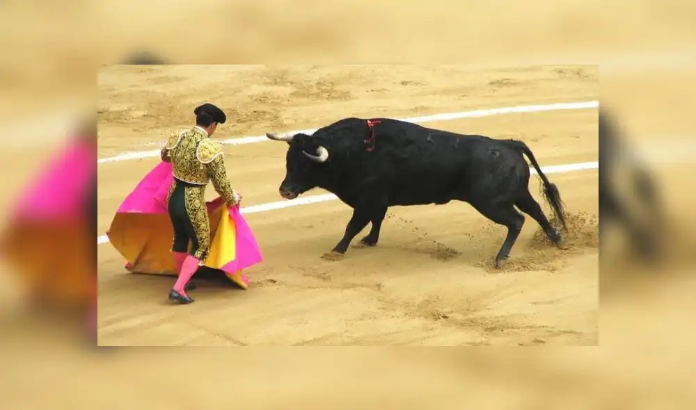 Colectivos se pronuncian sobre la corrida de toros.