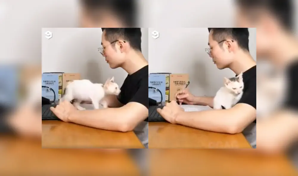 Desliza a la izquierda para conocer más sobre este nuevo viral de YouTube. Foto: Captura.