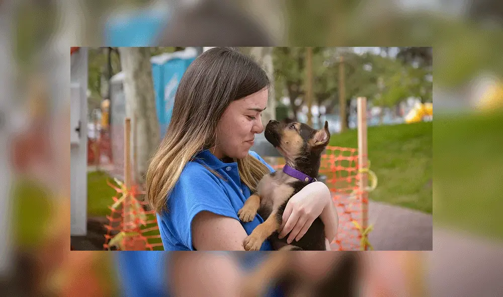 Vidrieras vivas Vidrieras vivas