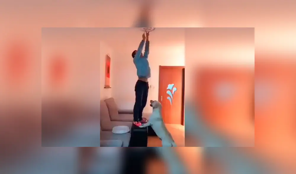 Video es viral en Facebook. El can sorprendió a más de uno al obedecer cada una de las órdenes de su dueño y permanecer con él hasta que haya terminado Video es viral en Facebook. El can sorprendió a más de uno al obedecer cada una de las órdenes de su dueño y permanecer con él hasta que haya terminado