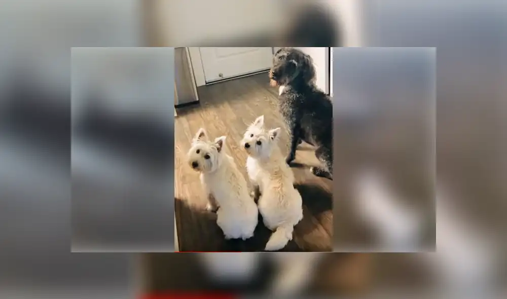 Desliza para ver los detalles de esta triste historia de Facebook. Foto: Captura.