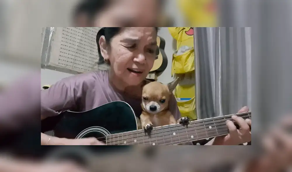 Tailandesa interpreta ‘Hey jude’ de The Beatles junto a su chihuahua y sorprende por su talento [VIDEO]