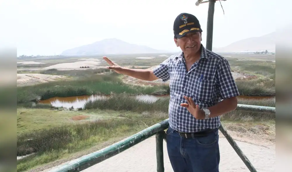 El remo en su hora cero