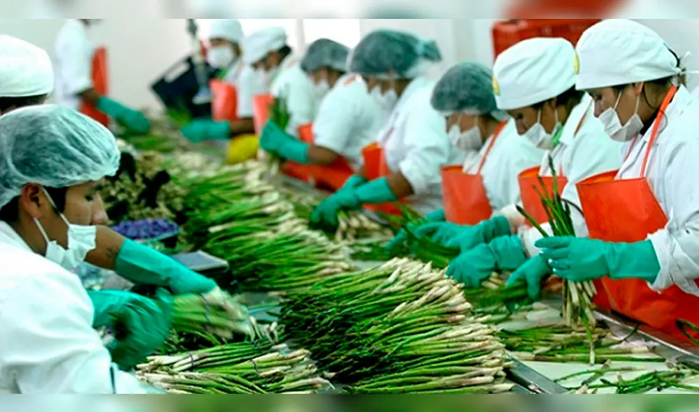 Perú, el tercer país con mayor crecimiento en exportaciones Perú, el tercer país con mayor crecimiento en exportaciones