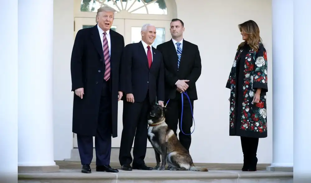 Trump presenta a Conan, el "increíble" perro herido en la redada en que murió Bagdadi. Foto: AFP. Trump presenta a Conan, el "increíble" perro herido en la redada en que murió Bagdadi. Foto: AFP.
