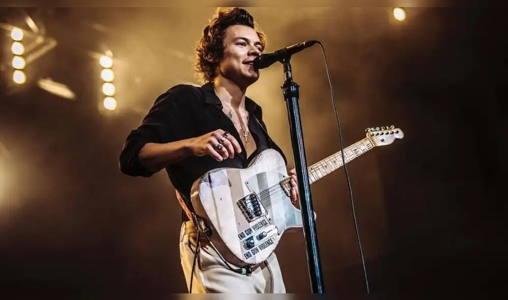 Concierto de Harry Styles. Foto: Instagram @hshq