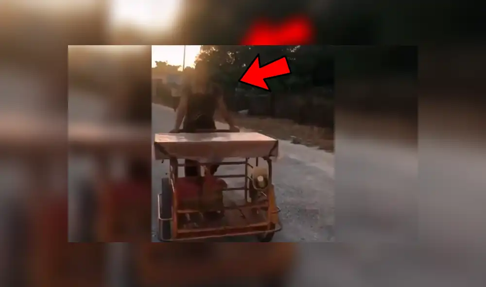 El ingenioso panadero quiso diferenciarse de la competencia y creo una singular melodía que ha desatado miles de carcajadas en Facebook El ingenioso panadero quiso diferenciarse de la competencia y creo una singular melodía que ha desatado miles de carcajadas en Facebook