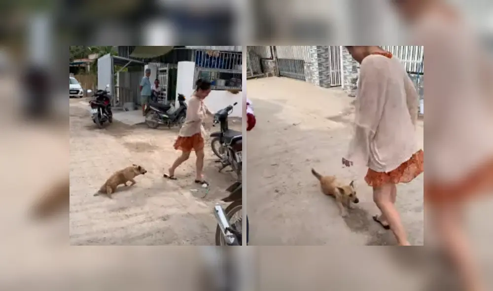 Desliza hacia la izquierda para ver más del video viral. Fotocaptura: YouTube