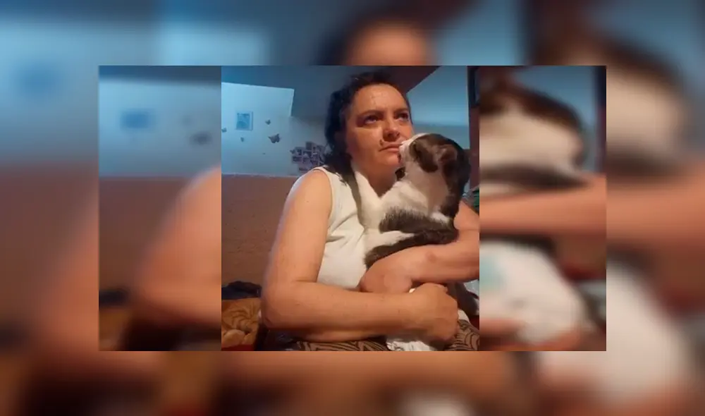 Facebook: señora encuentra a gato callejero, lo cuida y este se lo agradece con tierno beso [VIDEO] 