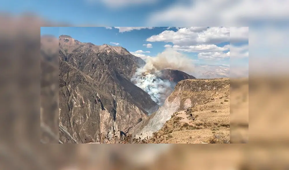 Incendio comenzó el 31 de octubre. Brigada forestal no podía llegar a la zona.