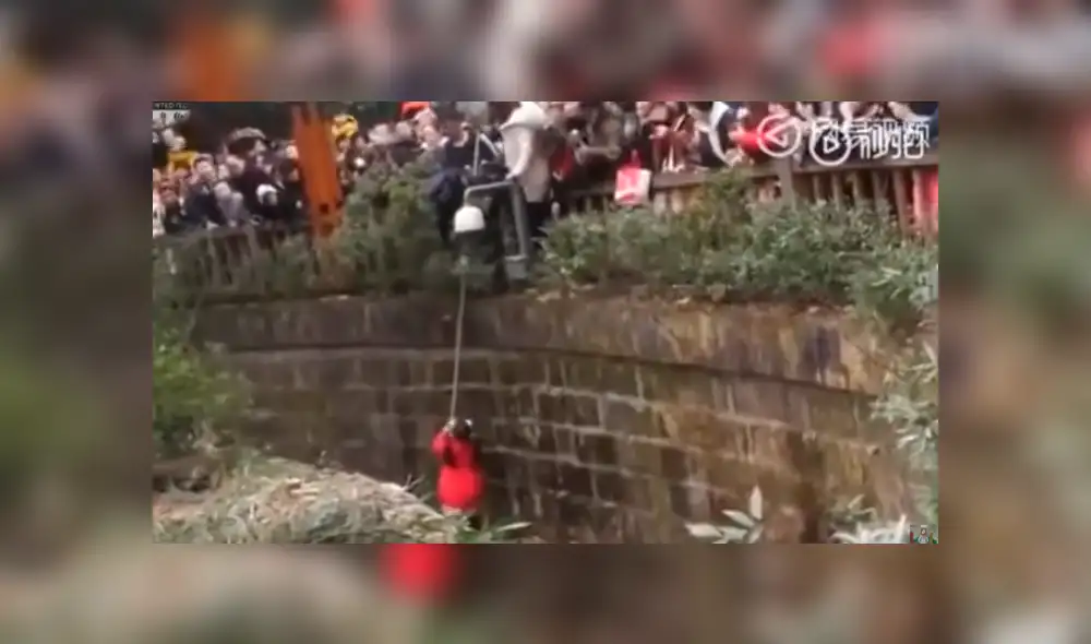 YouTube viral: niña cae a recinto de osos pandas y visitantes de zoológico quedan en shock [VIDEO]