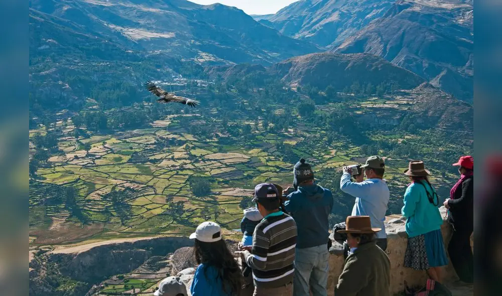 Danza con cóndores