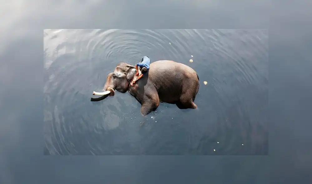 Las lluvias en la India generaron el desborde del río Kutipuzha. Foto: Adnan Abidi TPX / Reuters Las lluvias en la India generaron el desborde del río Kutipuzha. Foto: Adnan Abidi TPX / Reuters