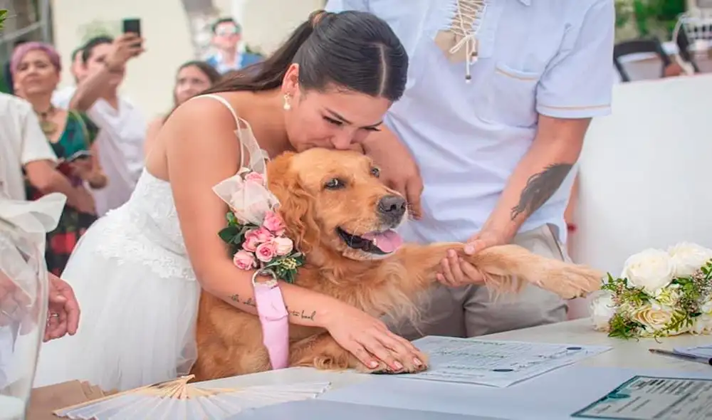 Desliza hacia la izquierda para ver las tiernas imágenes de la perrita testigo de una boda. Foto: Facebook Desliza hacia la izquierda para ver las tiernas imágenes de la perrita testigo de una boda. Foto: Facebook