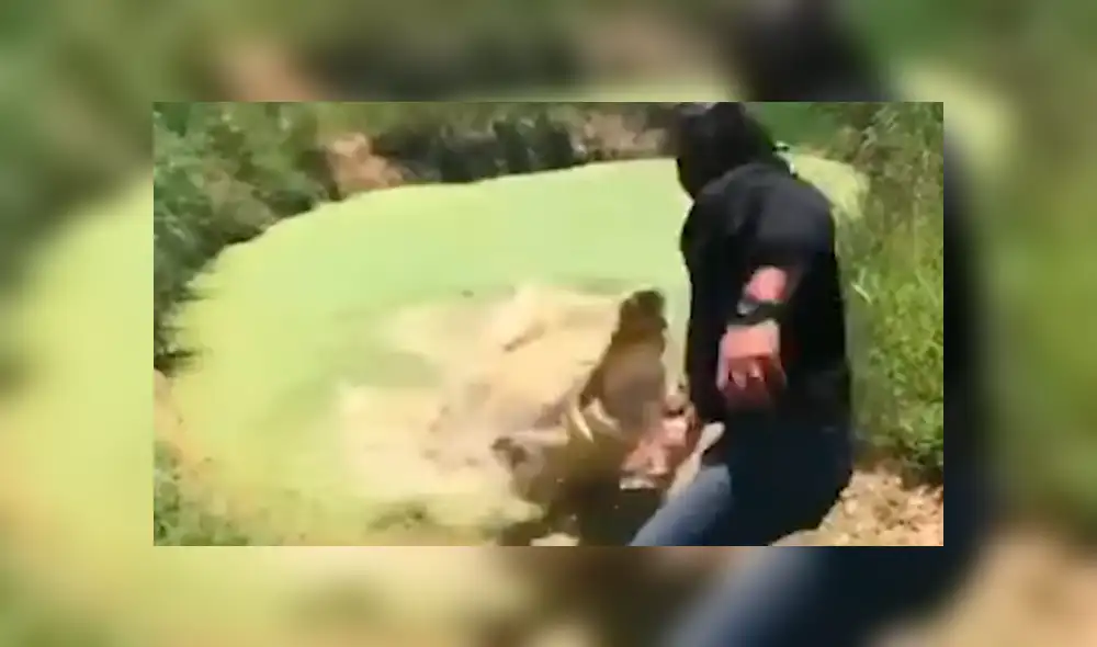 Facebook viral: hombre visitó pantano abandonado, se acerca y enorme reptil intentó devorarlo [VIDEO] 