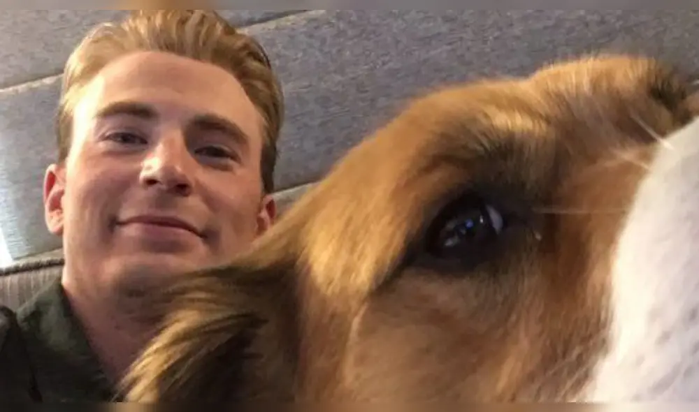 Chris Evans quiso realizar una nueva actividad con su mascota Dodger pero terminó arruinando el pelaje del can. (Foto: Difusión) Chris Evans quiso realizar una nueva actividad con su mascota Dodger pero terminó arruinando el pelaje del can. (Foto: Difusión)