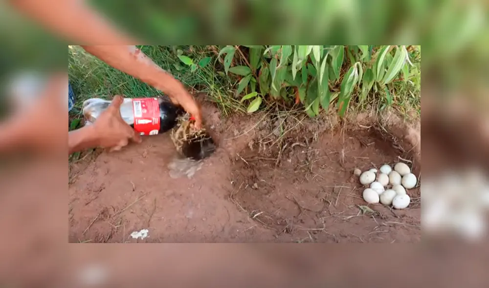 Desliza hacia la izquierda para ver el inesperado hallazgo que se volvió viral en YouTube.