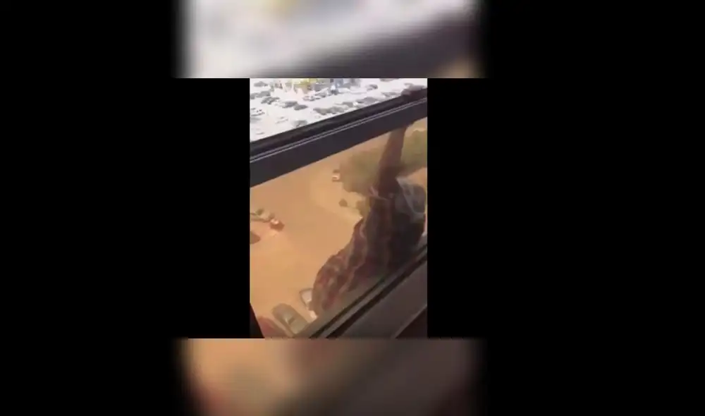 YouTube: Mujer cae desde un edificio mientras es grabada por su empleadora [VIDEO]