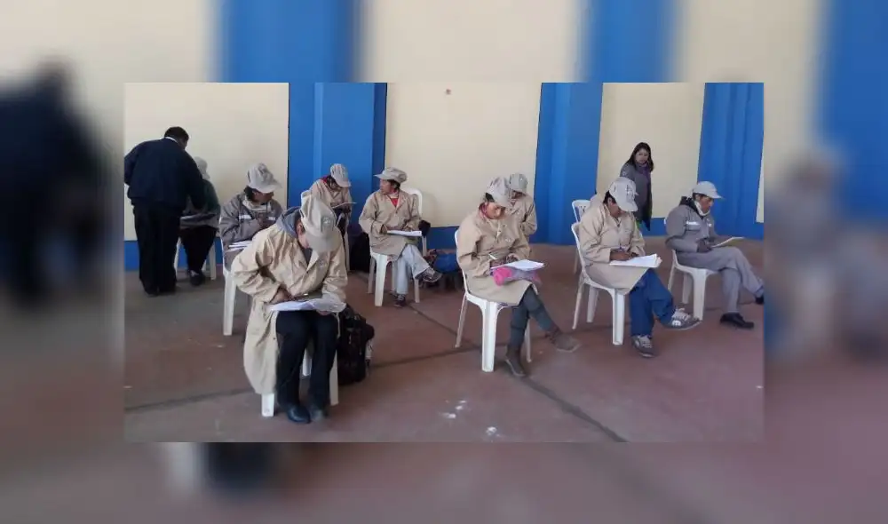 Puno: mujeres productoras de fibra de alpaca obtendrán certificación 