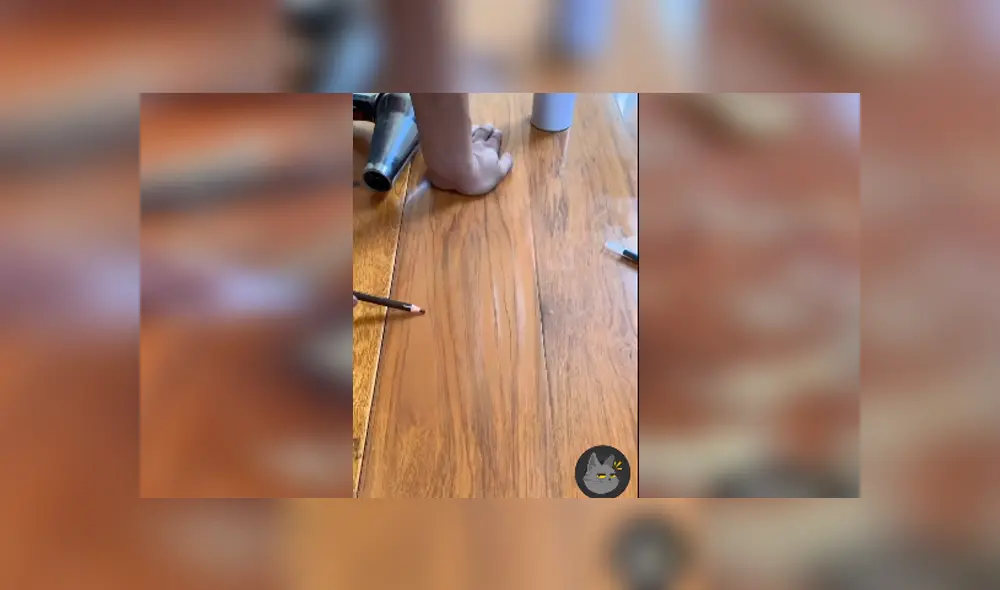 Desliza para ver los detalles del video viral publicado en Facebook. Foto: Captura.