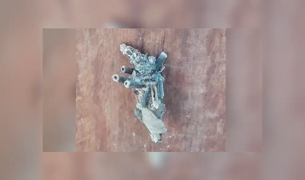 Desliza para ver la identidad de esta extraña criatura que sorprendió a todos en Facebook. Foto: Captura. Desliza para ver la identidad de esta extraña criatura que sorprendió a todos en Facebook. Foto: Captura.