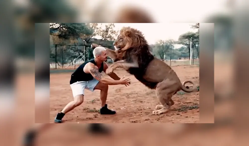 Desliza hacia la izquierda para ver el reencuentro del hombre con un enorme león que se volvió viral en YouTube.