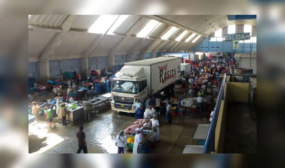 Créditos: Oceana Perú.