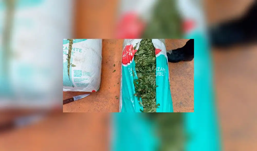 Decomisan 120 kilos de hoja de coca en La Libertad