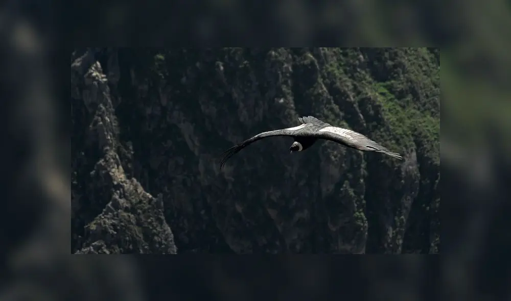 El Geoparque valle del Colca y Volcanes de Andagua [VIDEO]